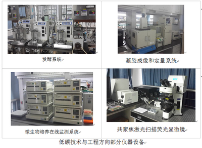 低碳技術(shù)與工程 技術(shù)服務(wù)與技術(shù)轉(zhuǎn)讓的雙輪驅(qū)動(dòng)